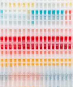 thermometer digital mx shipper 12 ~