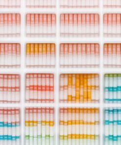 walking stick with seat swiss mobiliti