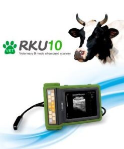 RKU10 Big Animal Veterinary Ultrasound Scanner