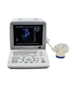 Portable LED screen ultrasound