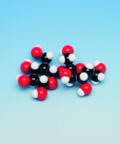 Molecular model Polypeptide 5 Peptide Units