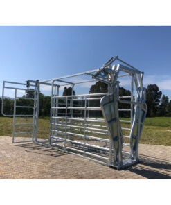 Alternative view of Cattle Veterinarian Working Station V-Type - Galvanised