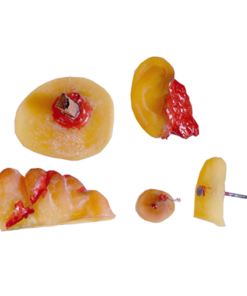 Wound Simulation Kit